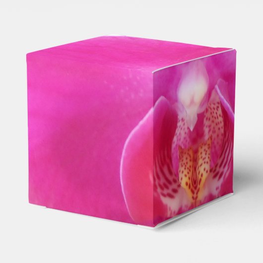 Ballotins Guda (Arrière)