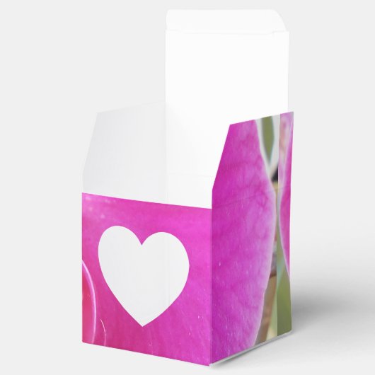 Ballotins Guda (Ouvert)