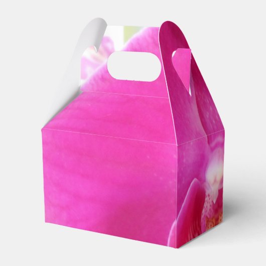 Ballotins Guda (Arrière)