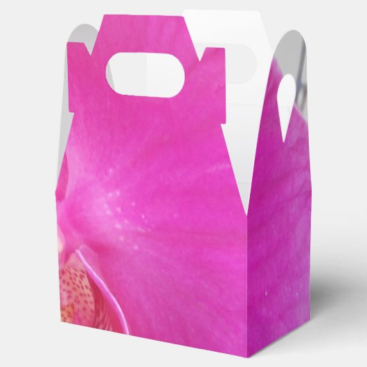 Ballotins Guda (Ouvert)