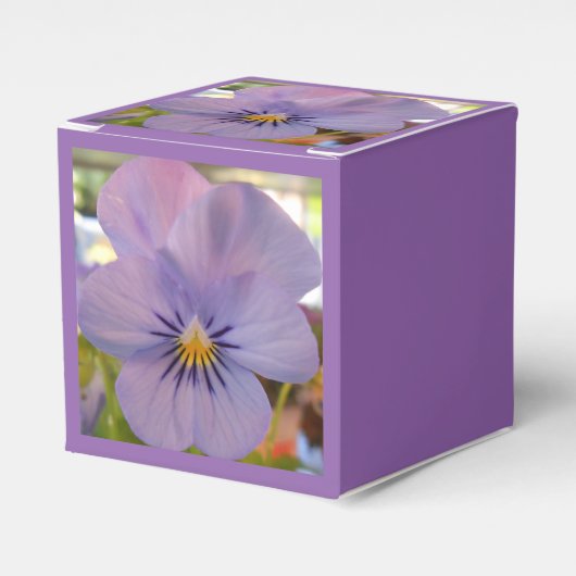 Ballotins Haetzlern (Verso)