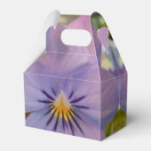 Ballotins Haetzlern (Arrière)