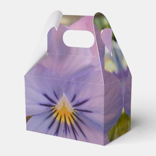 Ballotins Haetzlern (Arrière)