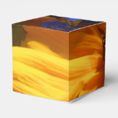 Ballotins Halte (Arrière)