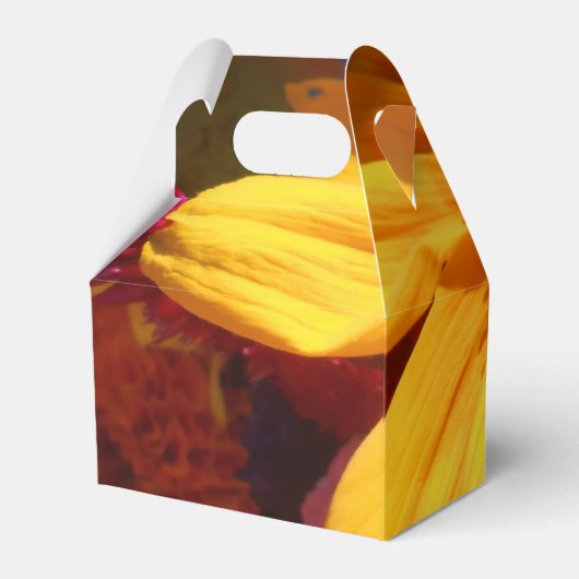 Ballotins Halte (Arrière)