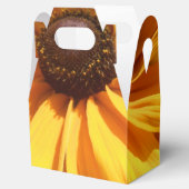 Ballotins Halte (Ouvert)