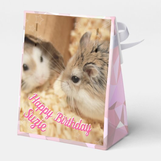 Ballotins Hammyville - Cute Hamster (Arrière)