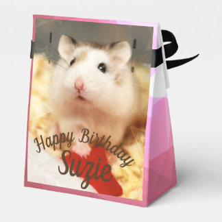 Ballotins Hammyville - Cute Hamster