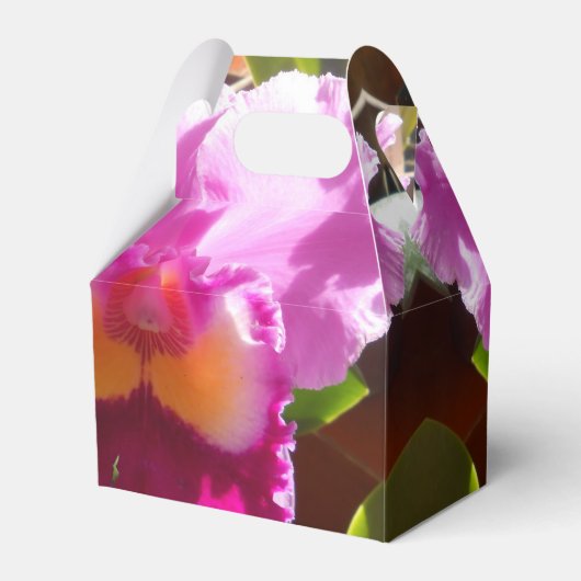 Ballotins Harlinde (Arrière)