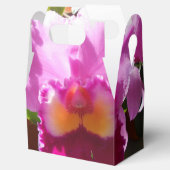 Ballotins Harlinde (Ouvert)