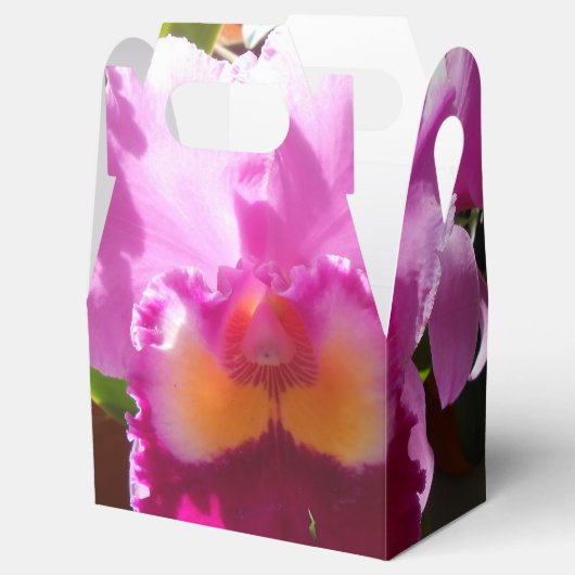 Ballotins Harlinde (Ouvert)