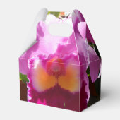 Ballotins Harlinde (Verso)