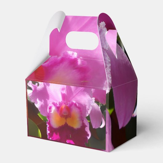 Ballotins Harlinde (Verso)