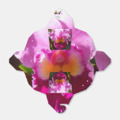 Ballotins Harlinde (Déplié)