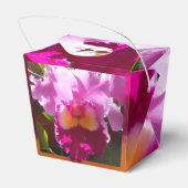 Ballotins Harlinde (Arrière)