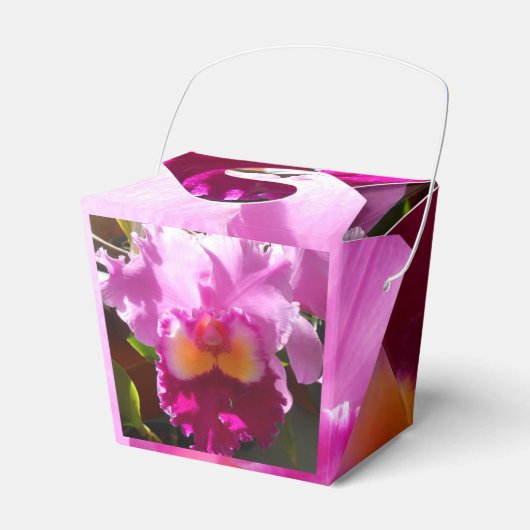 Ballotins Harlinde (Verso)