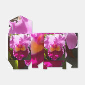 Ballotins Harlinde (Déplié)