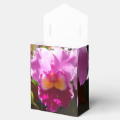 Ballotins Harlinde (Ouvert)