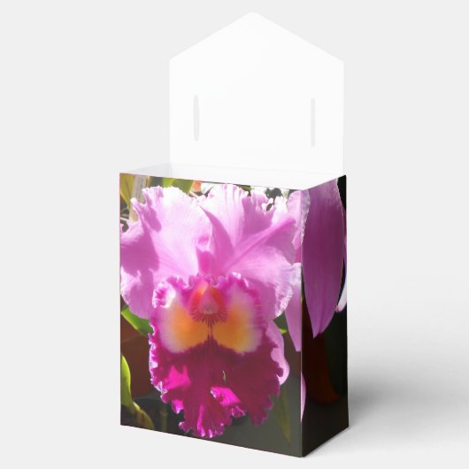 Ballotins Harlinde (Ouvert)