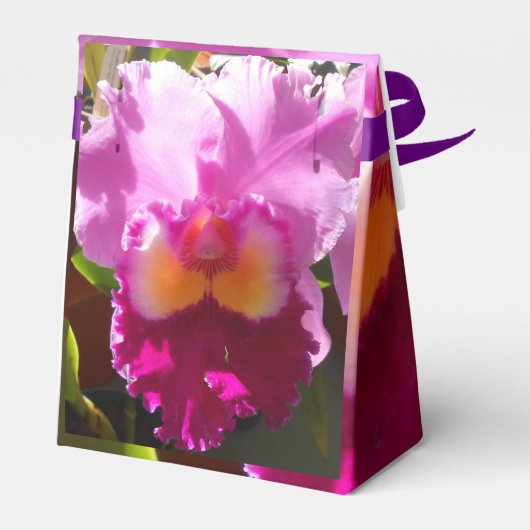 Ballotins Harlinde (Arrière)