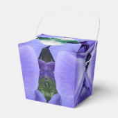 Ballotins Henrietta (Verso)