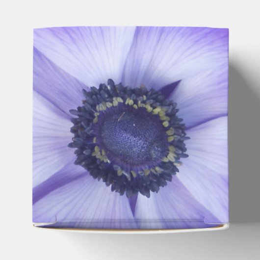 Ballotins Henrietta (Haut)