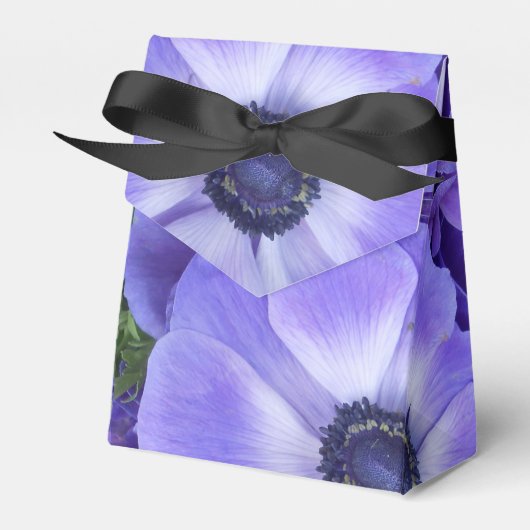 Ballotins Henrietta (Verso)