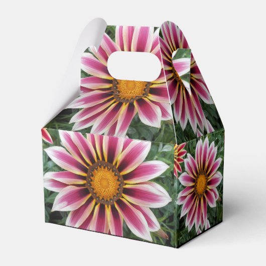 Ballotins Hereford (Arrière)