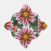 Ballotins Hereford (Déplié)