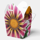 Ballotins Hereford (Ouvert)