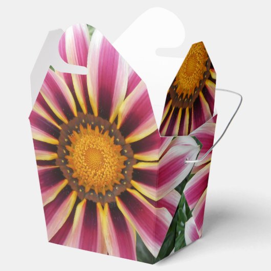 Ballotins Hereford (Ouvert)