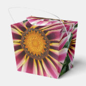 Ballotins Hereford (Arrière)