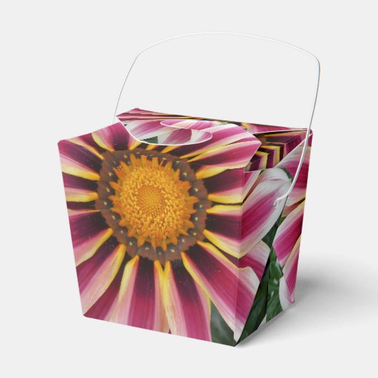 Ballotins Hereford (Verso)