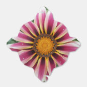 Ballotins Hereford (Déplié)