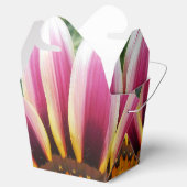 Ballotins Hereford (Ouvert)