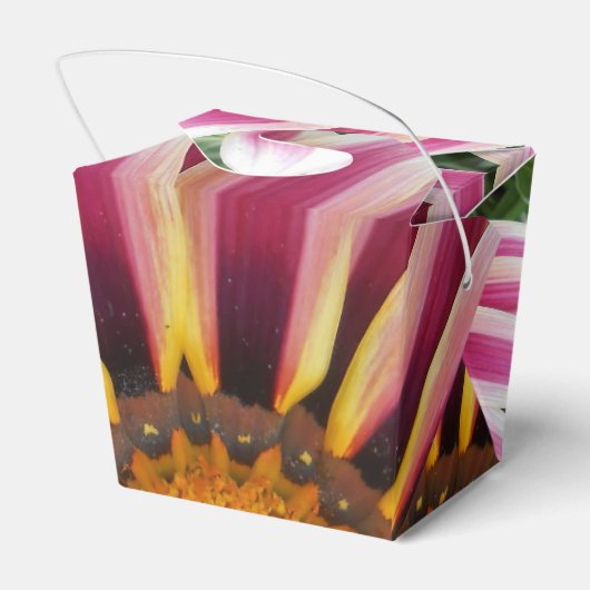 Ballotins Hereford (Arrière)