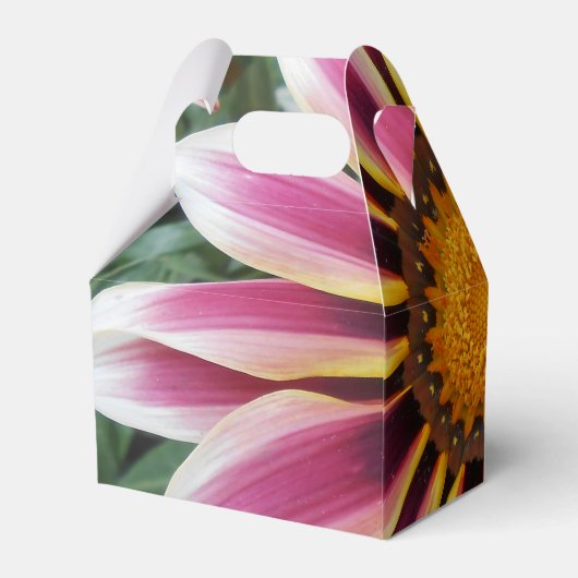 Ballotins Hereford (Arrière)