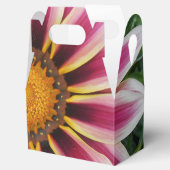 Ballotins Hereford (Ouvert)