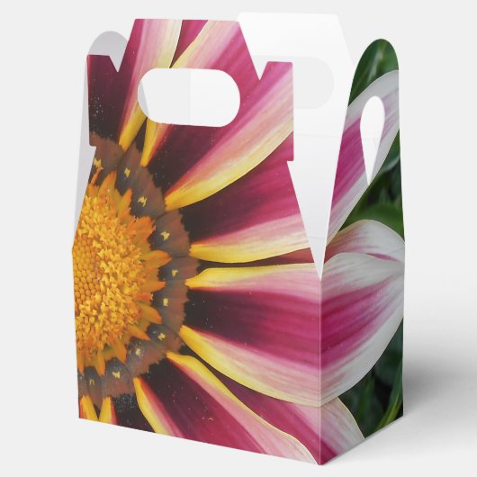 Ballotins Hereford (Ouvert)