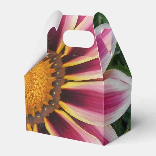 Ballotins Hereford (Verso)