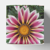 Ballotins Hereford (Haut)