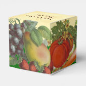 Ballotins Hérloom Plantes Fruits sur mesure Boîte végétale (Arrière)