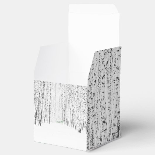 Ballotins Histoire de Noël blanche (Ouvert)