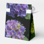 Ballotins Hydrangeas jardin fleuri bleu violet (Arrière)