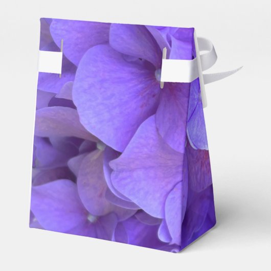 Ballotins Hydrangeas Lavender lilas (Arrière)