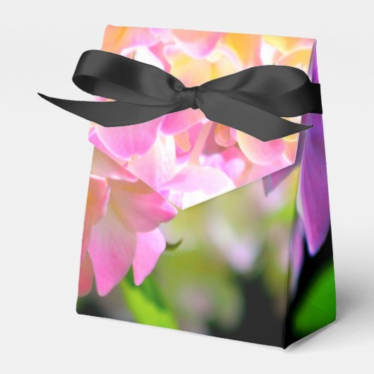 Ballotins Hydrangées rose violet orange (Verso)