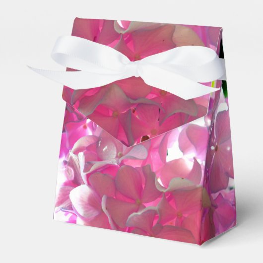 Ballotins Hydrangées roses rayonnantes, fleurs roses (Verso)