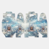 Ballotins Ice Princess (Déplié)