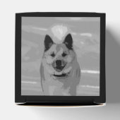 Ballotins IcelandicSheepdog20151203 (Haut)