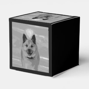 Ballotins IcelandicSheepdog20151203